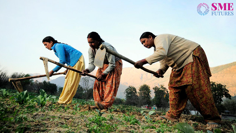 Harnessing agriculture as a tool of women empowerment