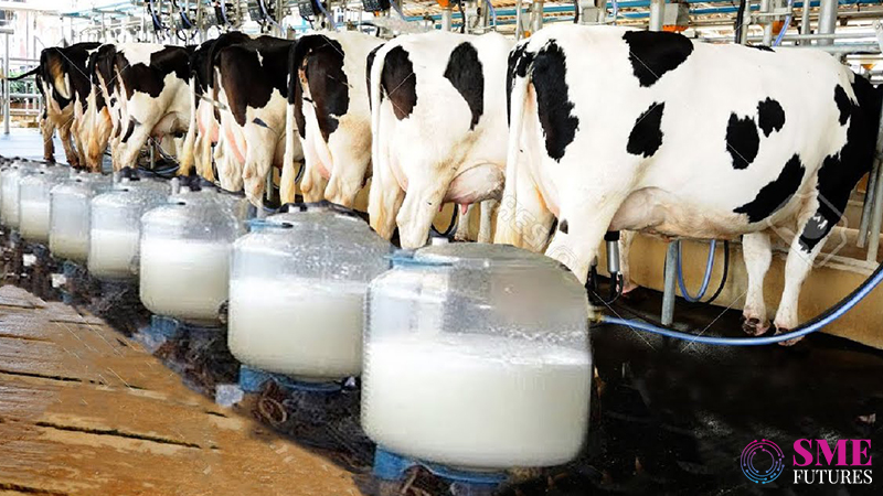 Indian dairy sector-Slowly changing its course with technology interventions
