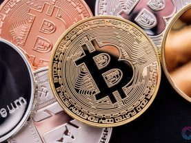 government has no plans on cryptocurrency