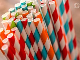 companies switch to paper straws after plastic ban