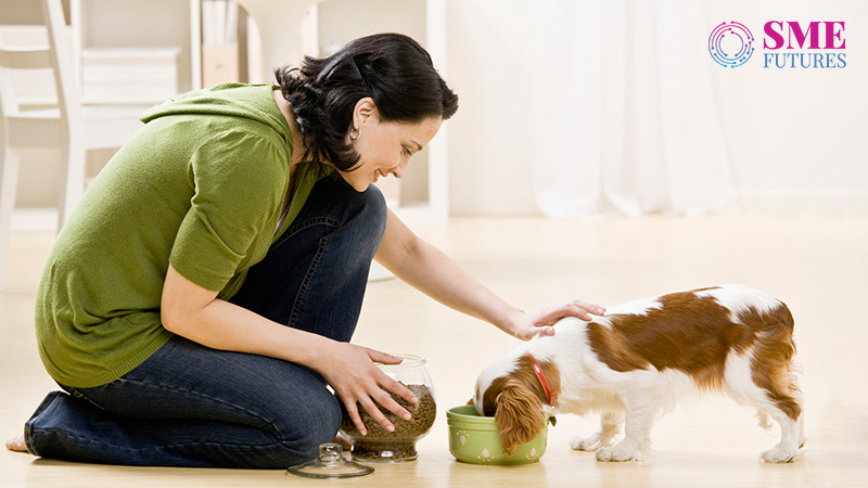 Pet care industry is growing in India