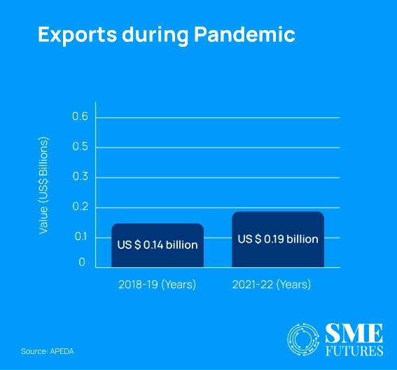 Exports during Pandemic