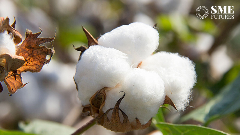 India's total cotton production in FY22-23 estimated at 344 lakh bales