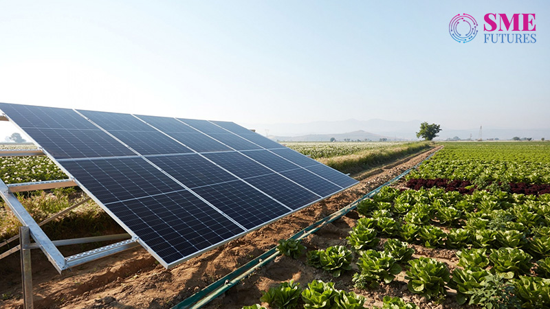 Solar-powered farm