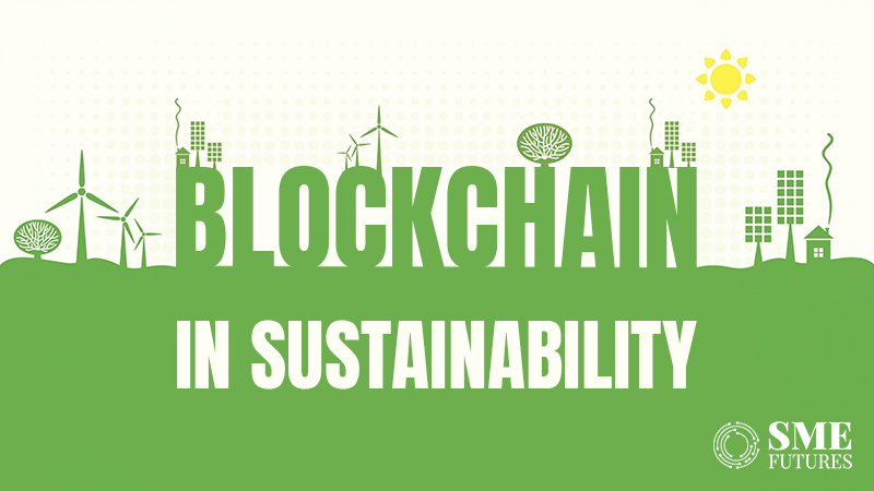 How Can Blockchain Be Used to Support Sustainable Business Practices