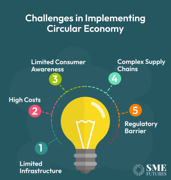 challenges circular economy